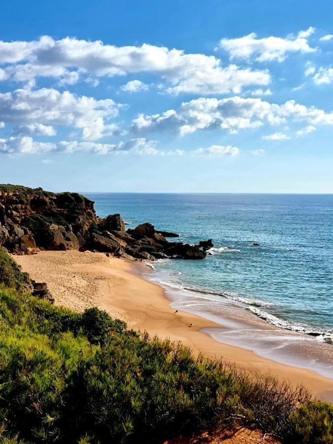 Apartamentos El Arrecife Conil De La Frontera Ngoại thất bức ảnh
